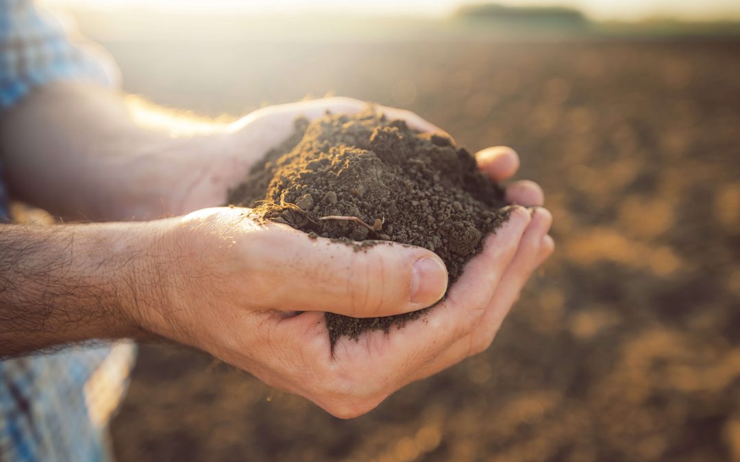 A talajvédelem tíz szabálya